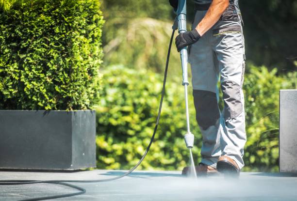 Solar Panel Cleaning in Cologne, NJ